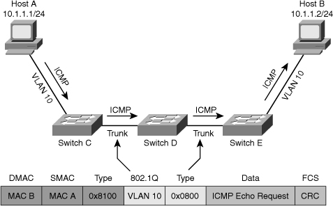 Image from book