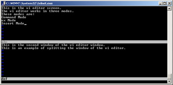  This figure shows the vi editor window with multiple windows.