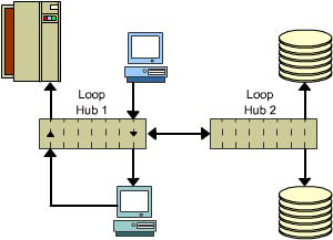 This figure depicts a cascaded Arbitrated Loop SAN using loop hubs.