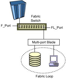 This figure illustrates a Switched fabric SAN that supports fabric loops.