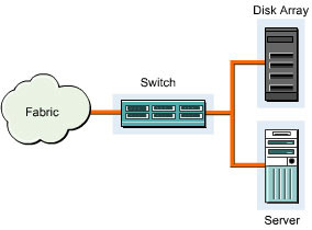 This figure shows a local storage pool with a switch connecting a disk array and a server.