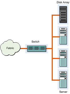 This figure shows a centralized storage pool. It shows a one-to-many connection between the disk array and the servers.