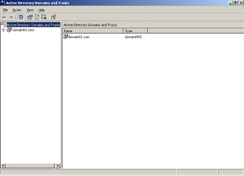  This figure shows the first domain, domain01.com, which is created during the installation of Active Directory.