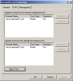  This figure shows the domain01.com Properties window with a new realm trust relationship added.