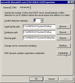  This figure shows the Advanced tab of the server01.domain01.com Properties dialog box.