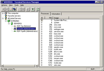  This figure shows a list of processes being executed in a terminal server.