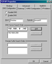  This figure shows that the host name is Christine and the domain name of the required DNS server is domain01.