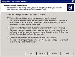  This figure shows the screen that contains the options to select the type of lookup zone appropriate for a network.
