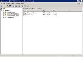  This figure shows the DNS console that you can use to manage the DNS servers.