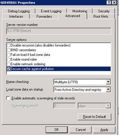  This figure shows the DNS server options that affect the DNS server security.