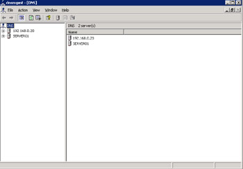  This figure shows that the server with IP address, 192.168.0.21 is deleted from the DNS console.