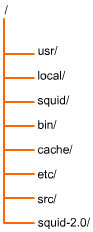 This figure shows the directory tree that is created after installing Squid.