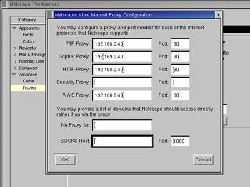  This figure shows the proxy server configuration of Netscape.