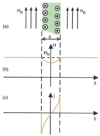 The Influence of the Superconductor Shape on Magnetic Field Penetration ...