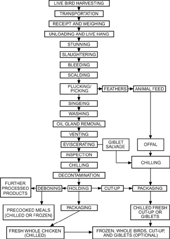 Chapter 18: Poultry Products | GlobalSpec